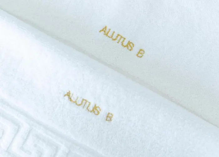 Gasthuis Alutus Boutique 4*