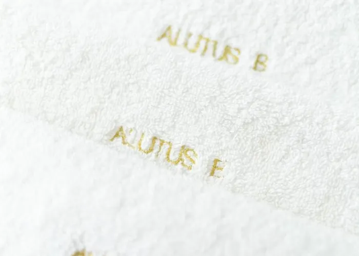 Alutus Boutique Gasthuis 4*